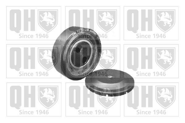 Galet tendeur de courroie d'accessoire QUINTON HAZELL QTA1073