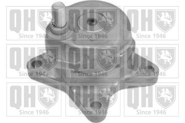 Galet tendeur de courroie d'accessoire QUINTON HAZELL QTA1318