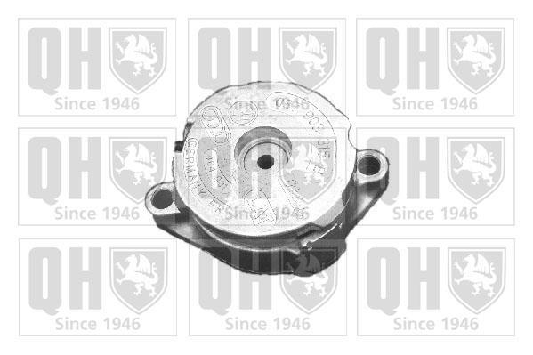 Galet tendeur de courroie d'accessoire QUINTON HAZELL QTA894S