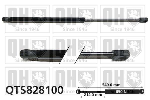 Vérin (Vérin de hayon) QUINTON HAZELL QTS828100