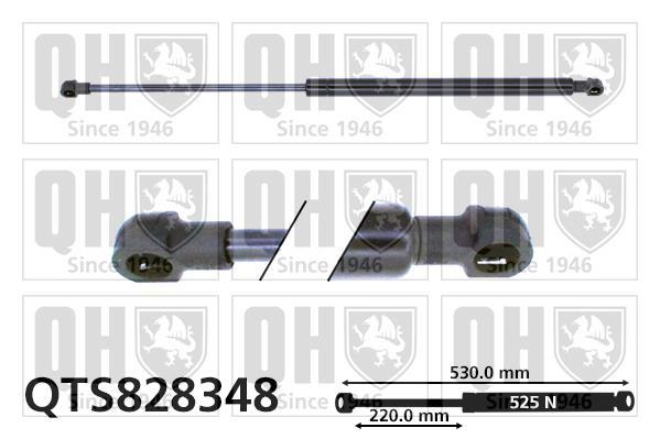 Vérin (Vérin de hayon) QUINTON HAZELL QTS828348