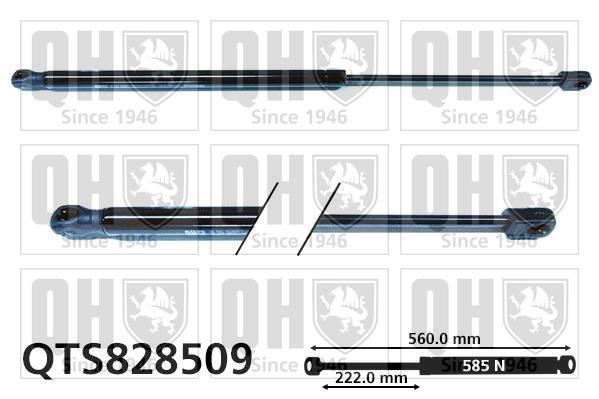 Muelle neumático QUINTON HAZELL ref. QTS828509