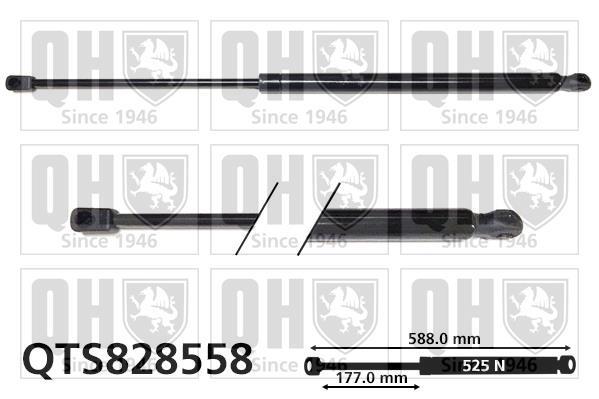 Vérin (Vérin de hayon) QUINTON HAZELL QTS828558