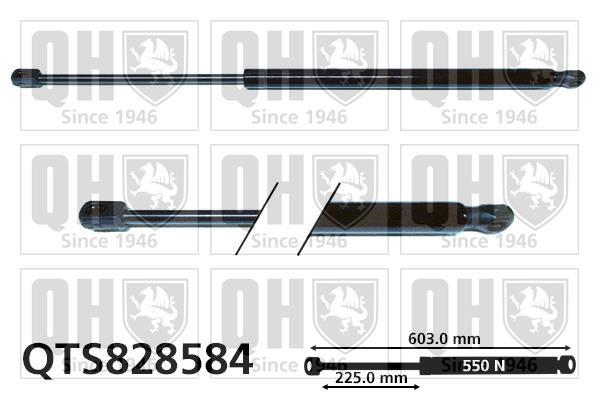 Muelle neumático QUINTON HAZELL ref. QTS828584