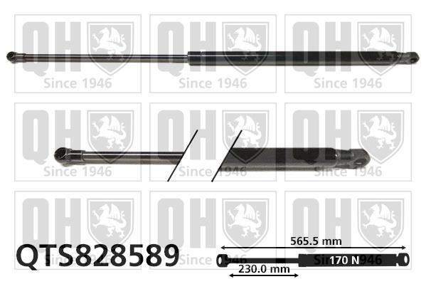 Vérin (Vérin de hayon) QUINTON HAZELL ref. QTS828589