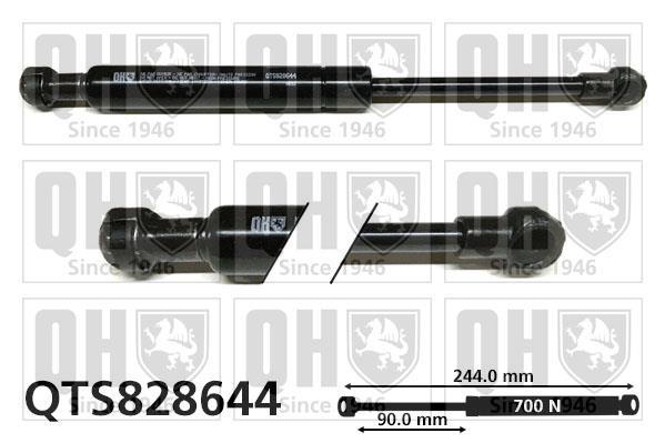 Cilindro QUINTON HAZELL ref. QTS828644