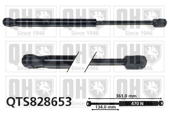 Vérin (Vérin de hayon) QUINTON HAZELL QTS828653