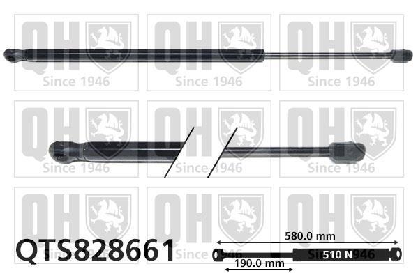 Vérin (Vérin de hayon) QUINTON HAZELL QTS828661