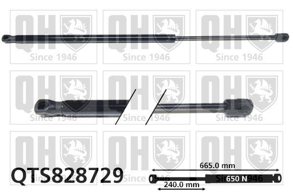 Muelle neumático QUINTON HAZELL ref. QTS828729