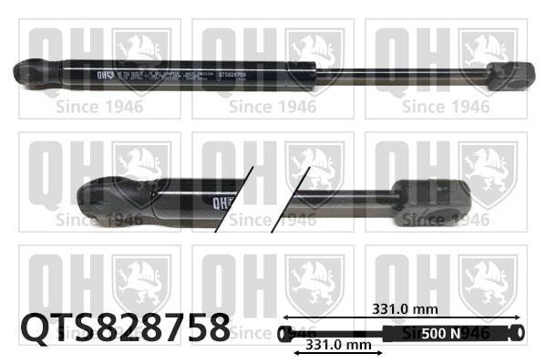 Vérin (Vérin de hayon) QUINTON HAZELL QTS828758