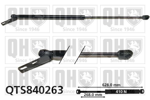 Vérin (Vérin de hayon) QUINTON HAZELL QTS840263