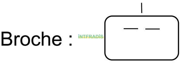 Injector adblue INTFRADIS ref. 10702