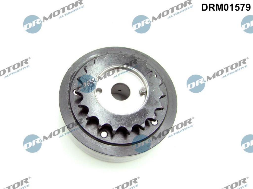 Regulador do eixo de excêntricos (Regulador do veio de excêntricos) DR MOTOR AUTOMOTIVE ref. DRM01579