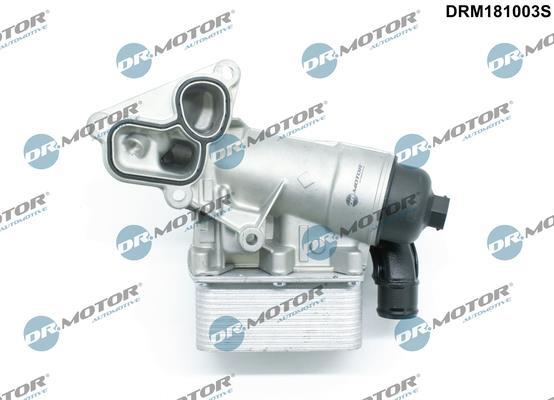 Boîtier, filtre à huile DR MOTOR AUTOMOTIVE DRM181003S