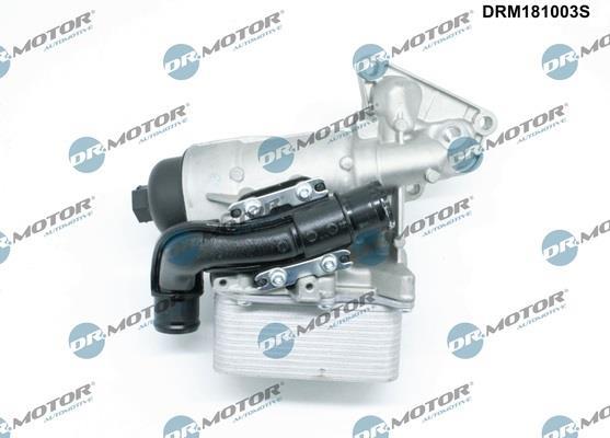 Boîtier, filtre à huile DR MOTOR AUTOMOTIVE DRM181003S