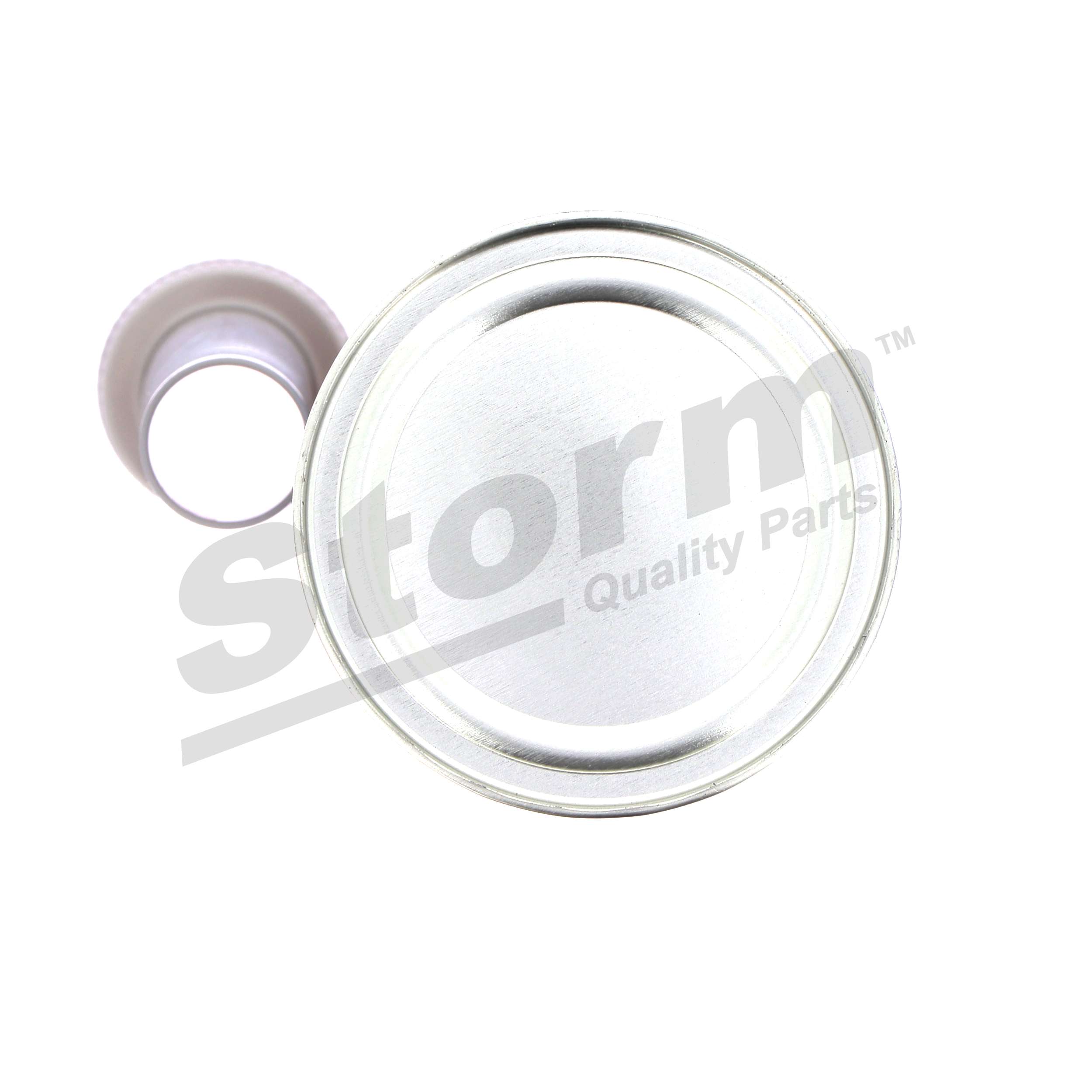 Nettoyant Moteur (Traitement moteur) Storm ref. 1022D05FR