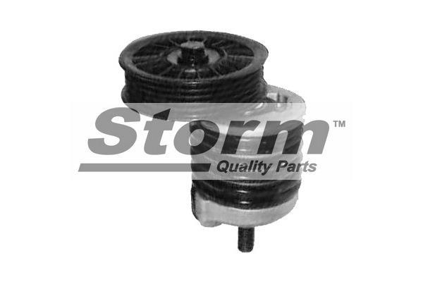 Kit de reparación, brazo tensor, correa poli V (Kit de reparación, polea tensora, correa accesorios) Storm ref. F4334
