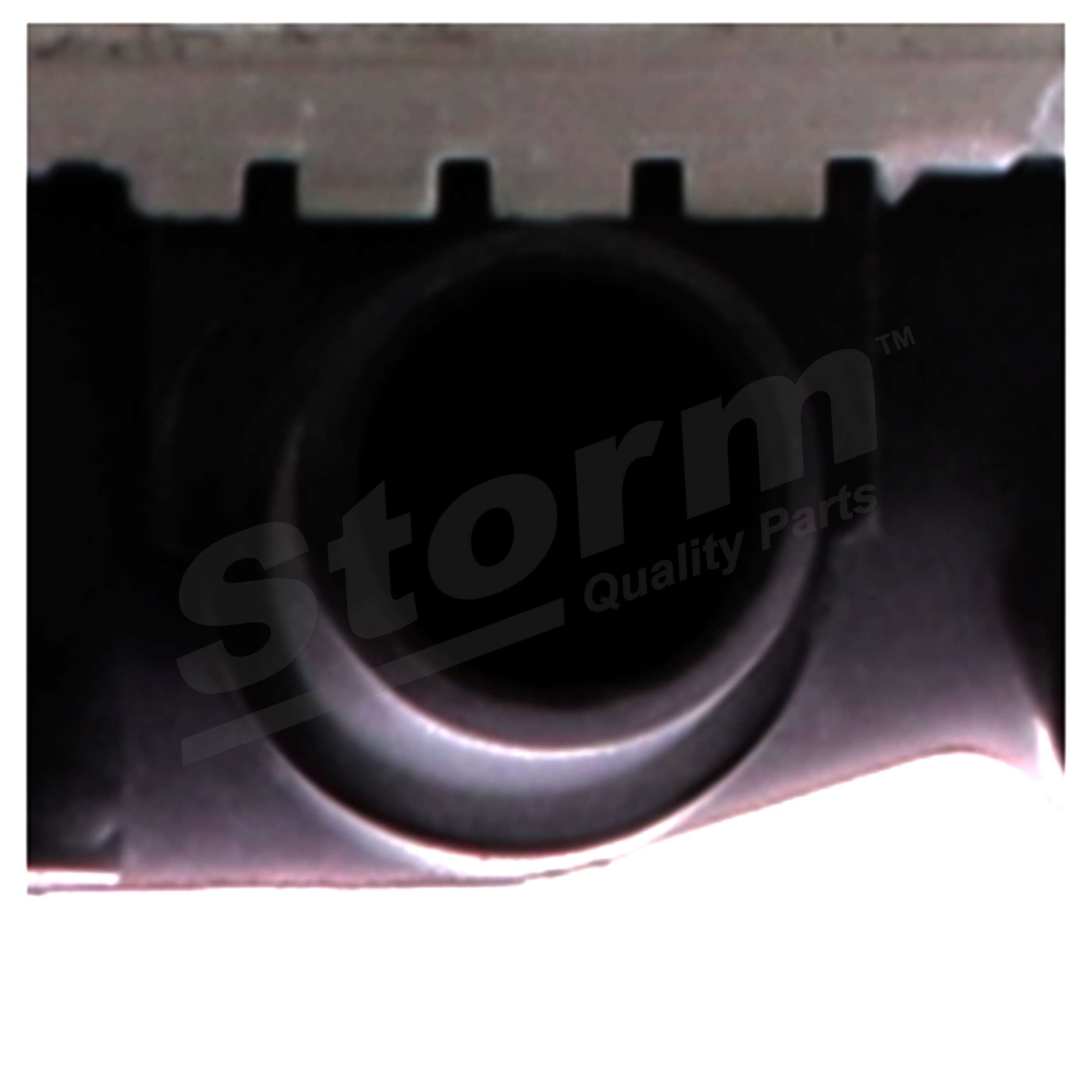 Radiateur moteur (Radiateur de refroidissement) Storm 150209