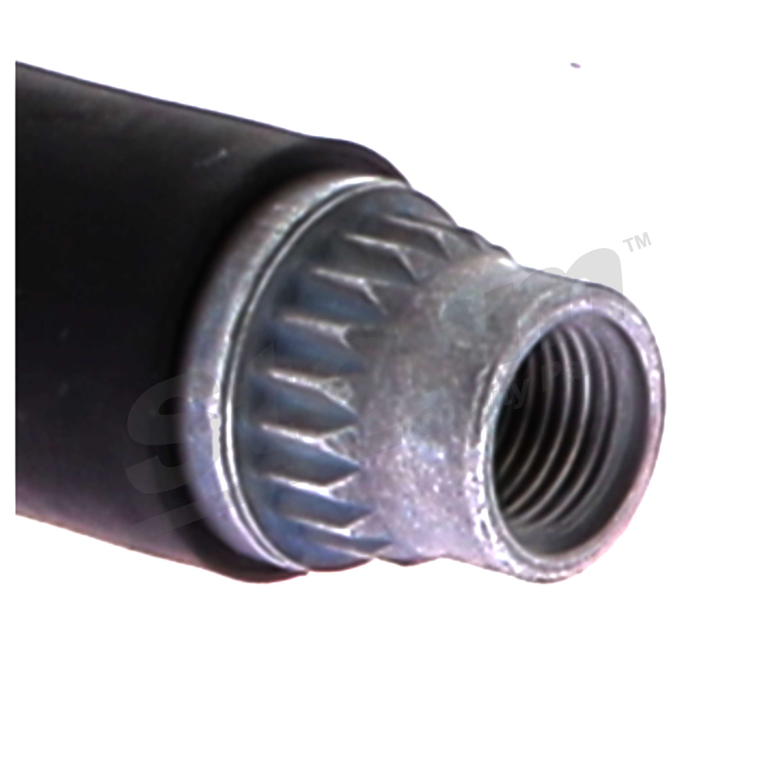 Flexible de frein (Durite de frein) Storm ref. 351246