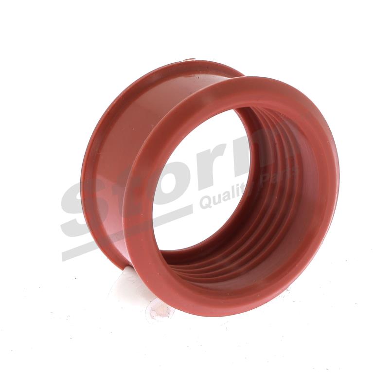 Durite de turbocompresseur (Durite de turbo) Storm 599610