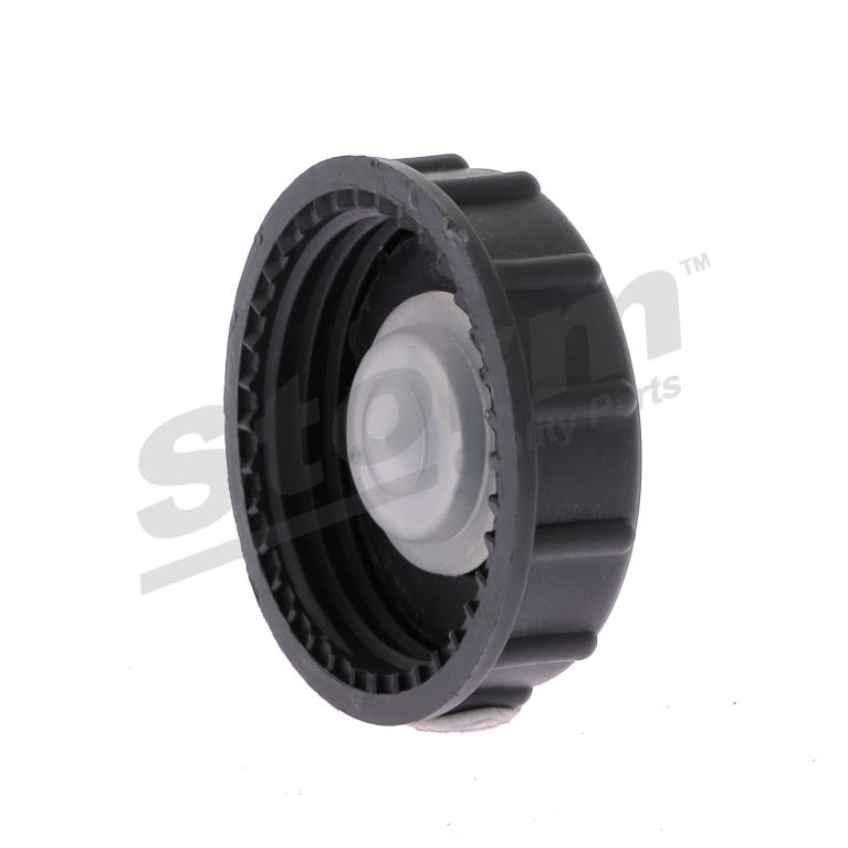 Pompe de direction assistée (Servo direction) Storm ref. 81797