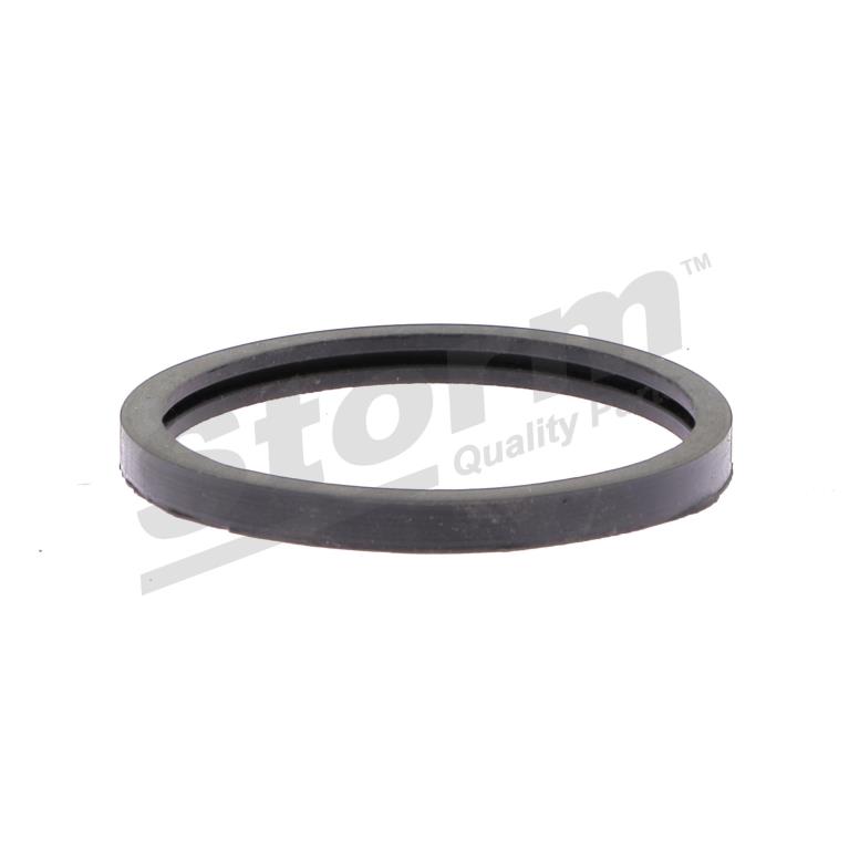 Junta, termostato Storm ref. 900200
