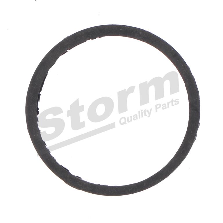 Junta, termostato Storm ref. 900200