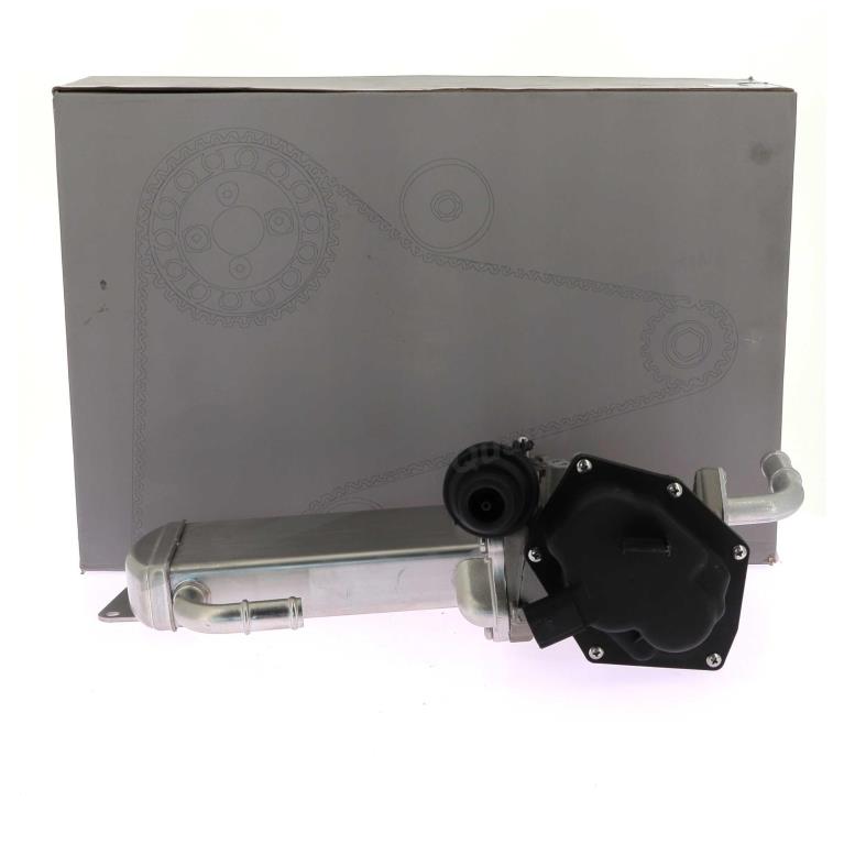 Module-EGR Storm ref. 9091