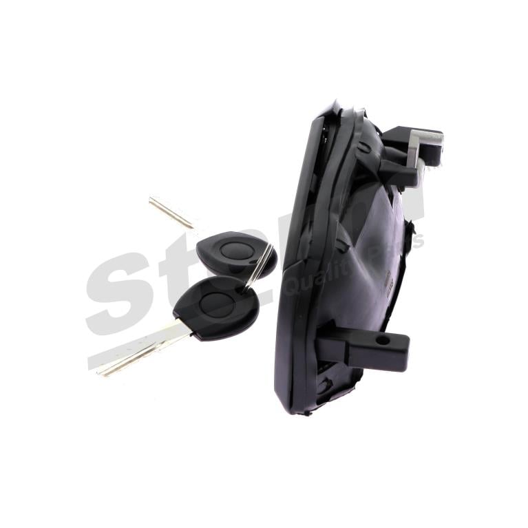 Puxador de porta Storm ref. 9662506