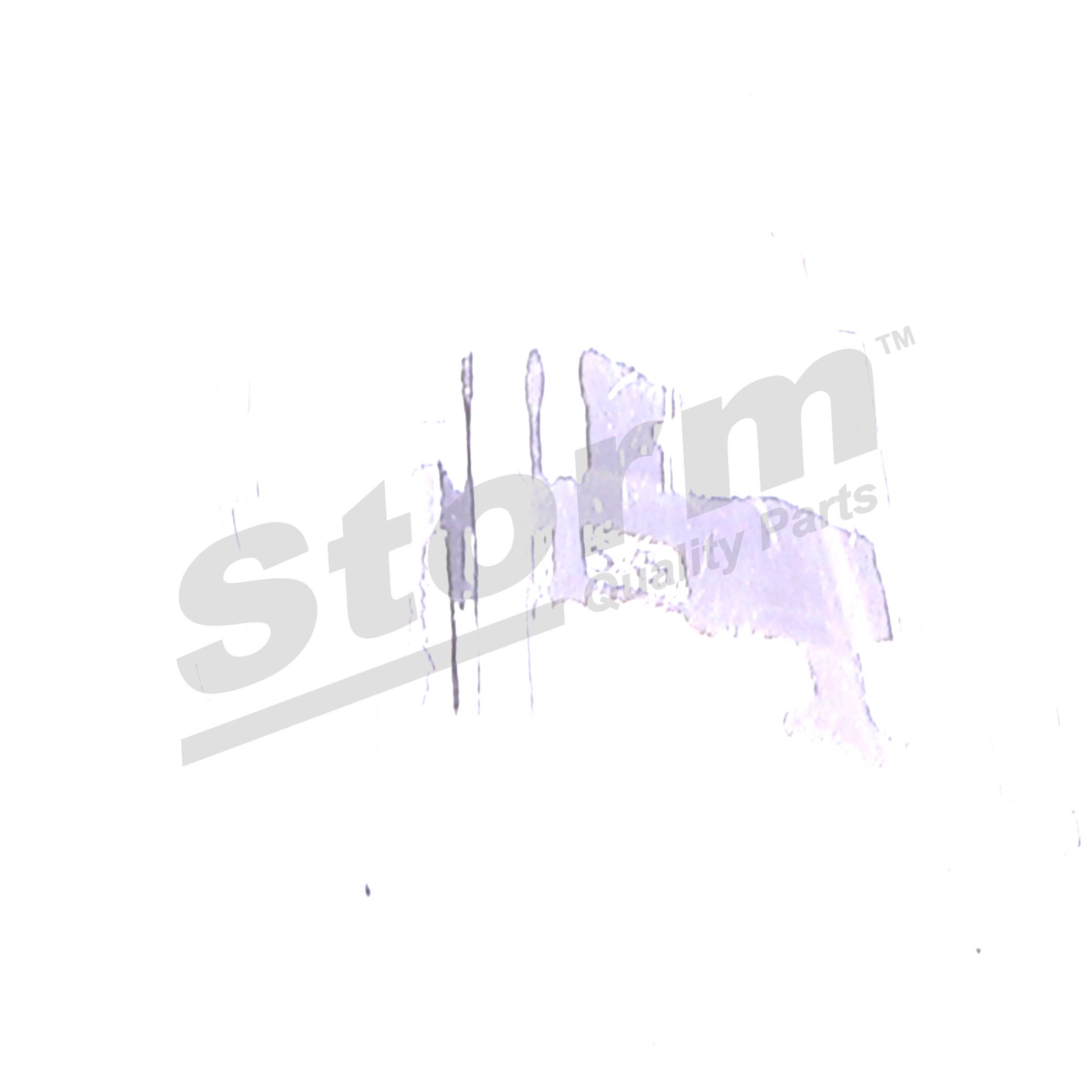 Coque de clé (Coque clé plip) Storm BMWBS32