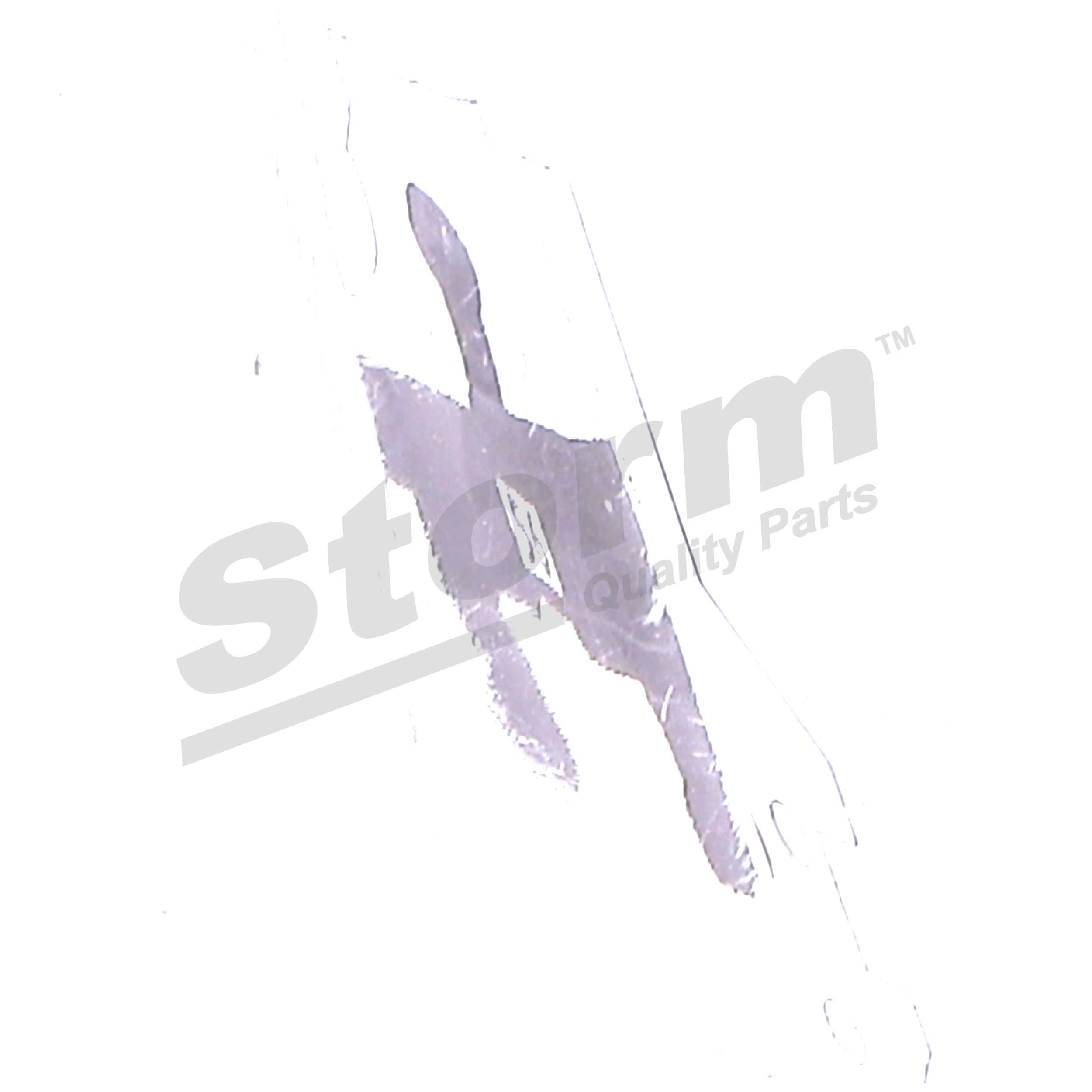 Coque de clé (Coque clé plip) Storm BMWBS32