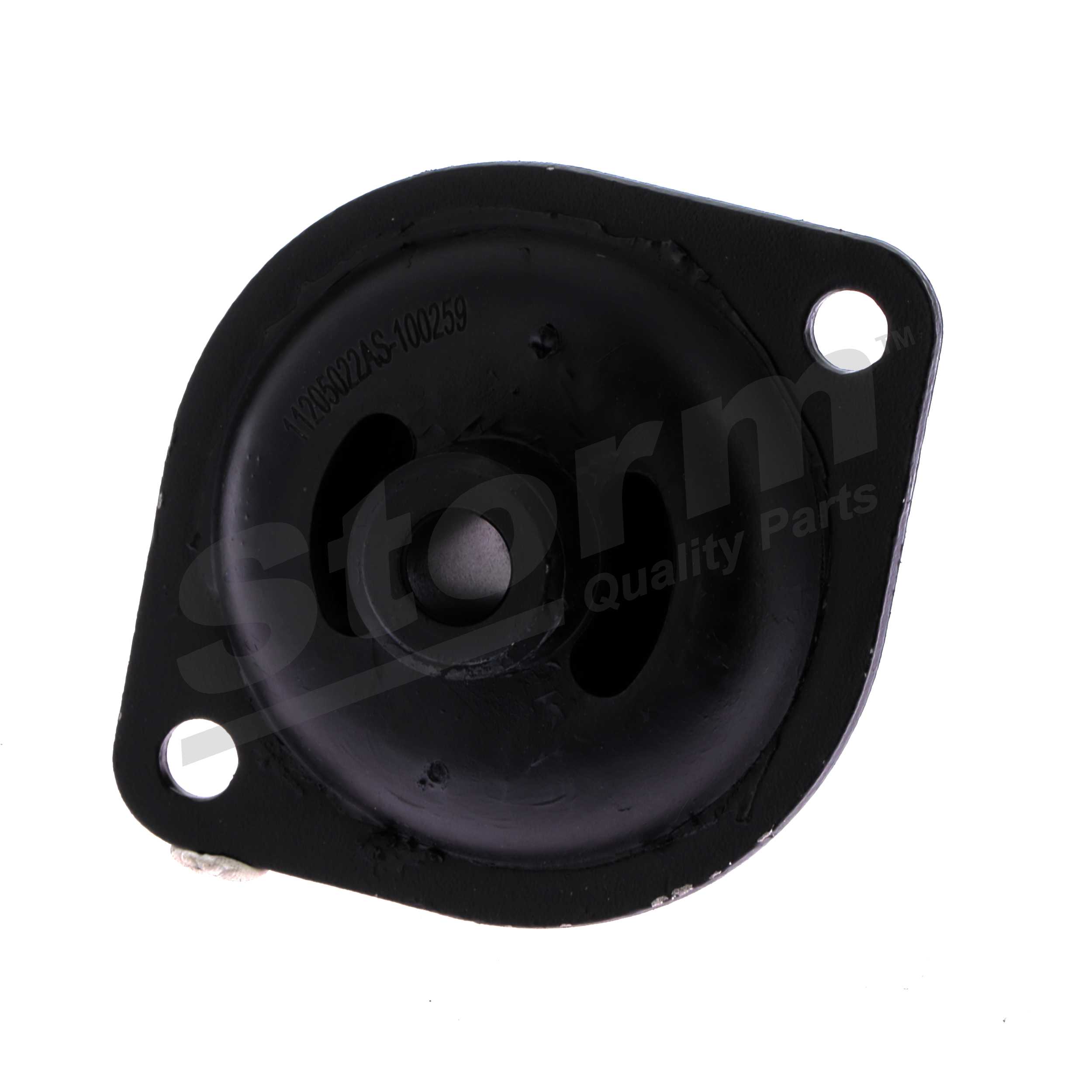 Support moteur (Silent bloc moteur) Storm F0259