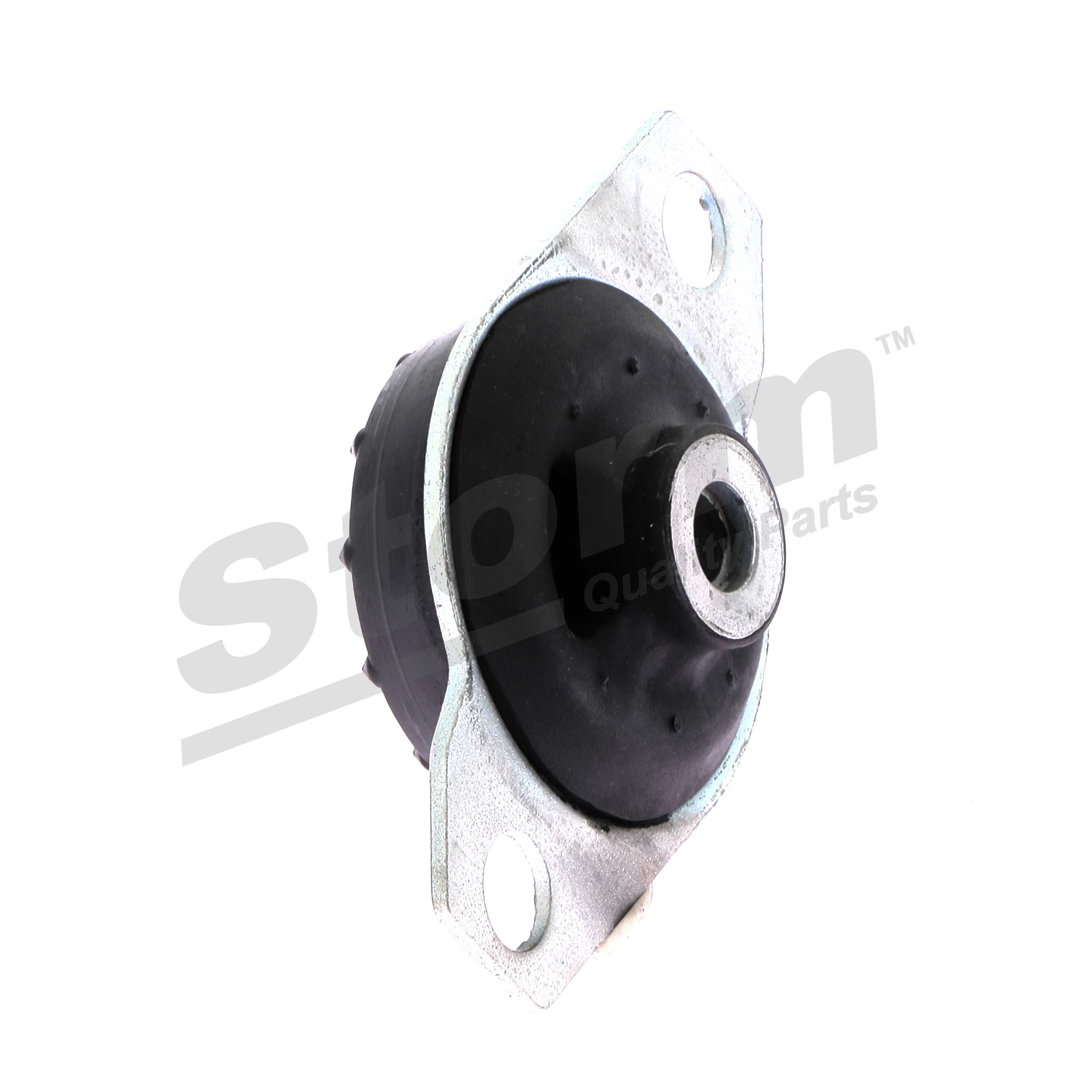 Soporte, motor Storm F0493