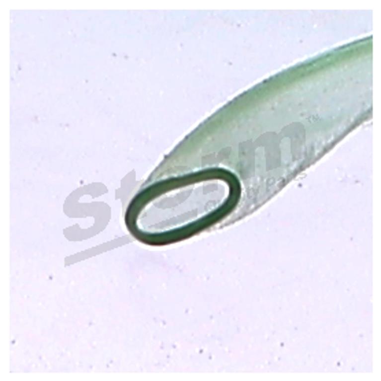 Tubo flexível de combustível Storm ref. F1343
