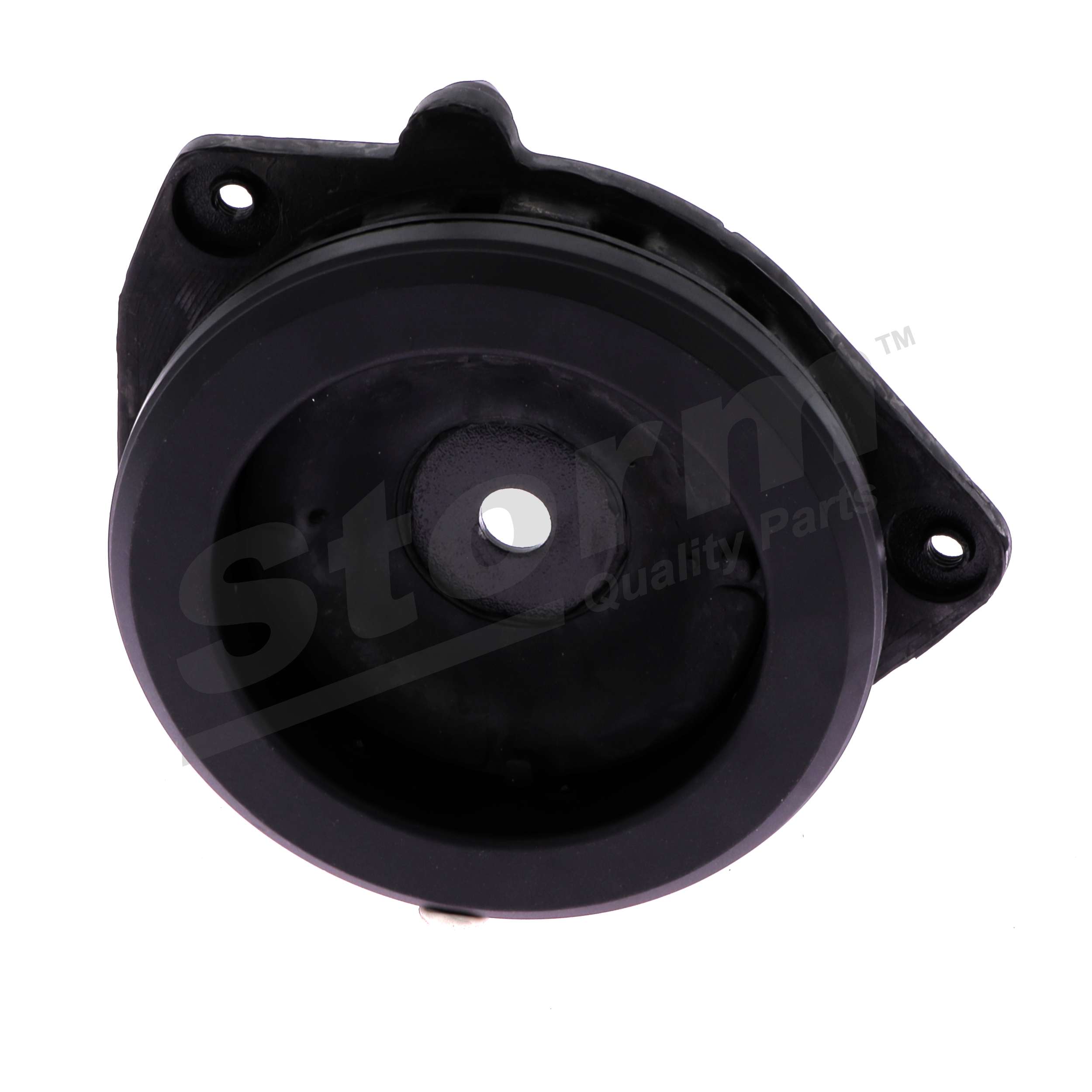 Kit de réparation, coupelle de suspension Storm F14607