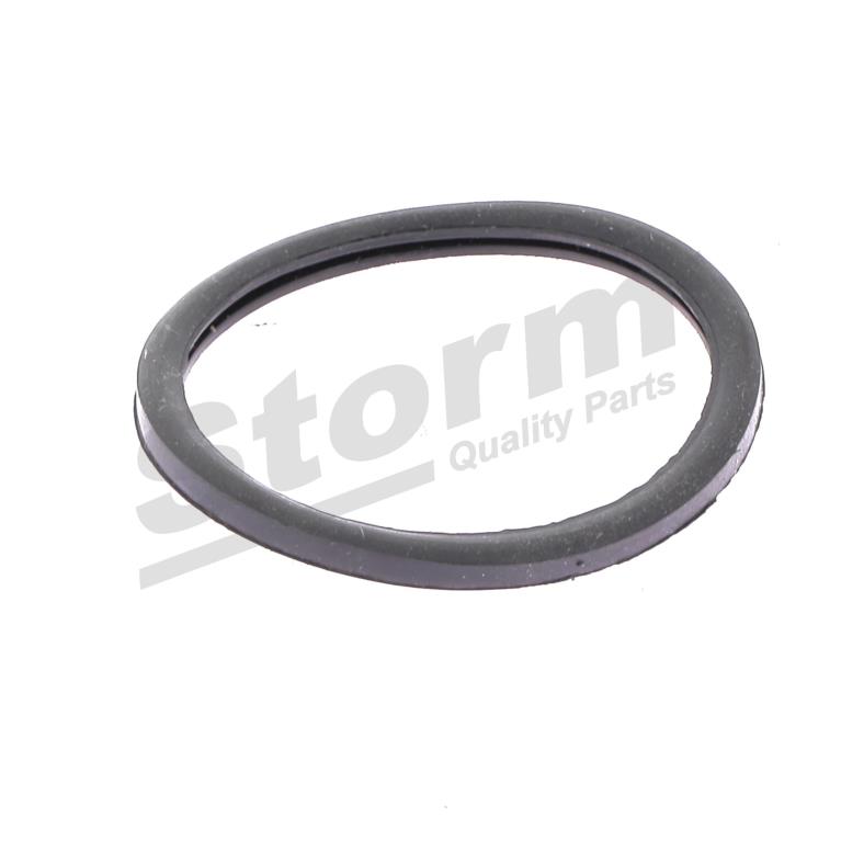 Polia do amortecedor Storm F2362