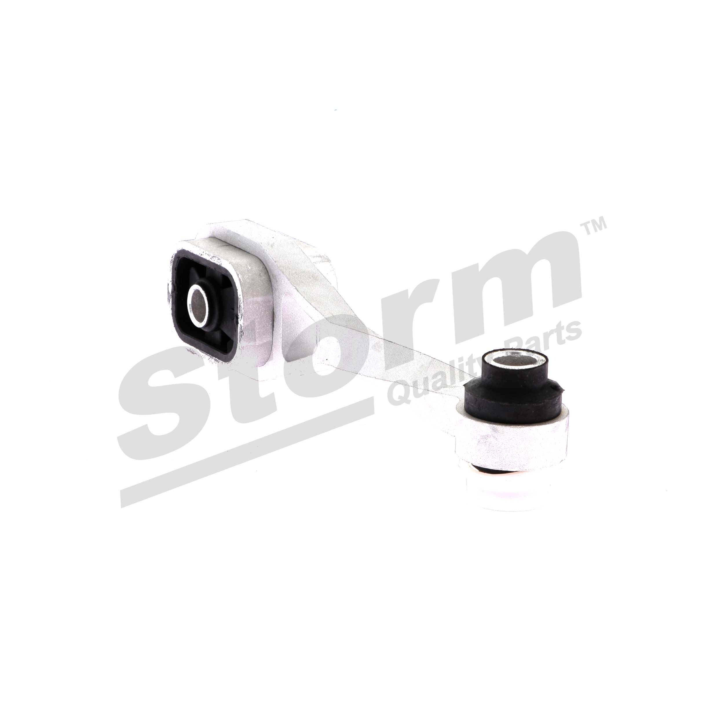 Support moteur (Silent bloc moteur) Storm F2466
