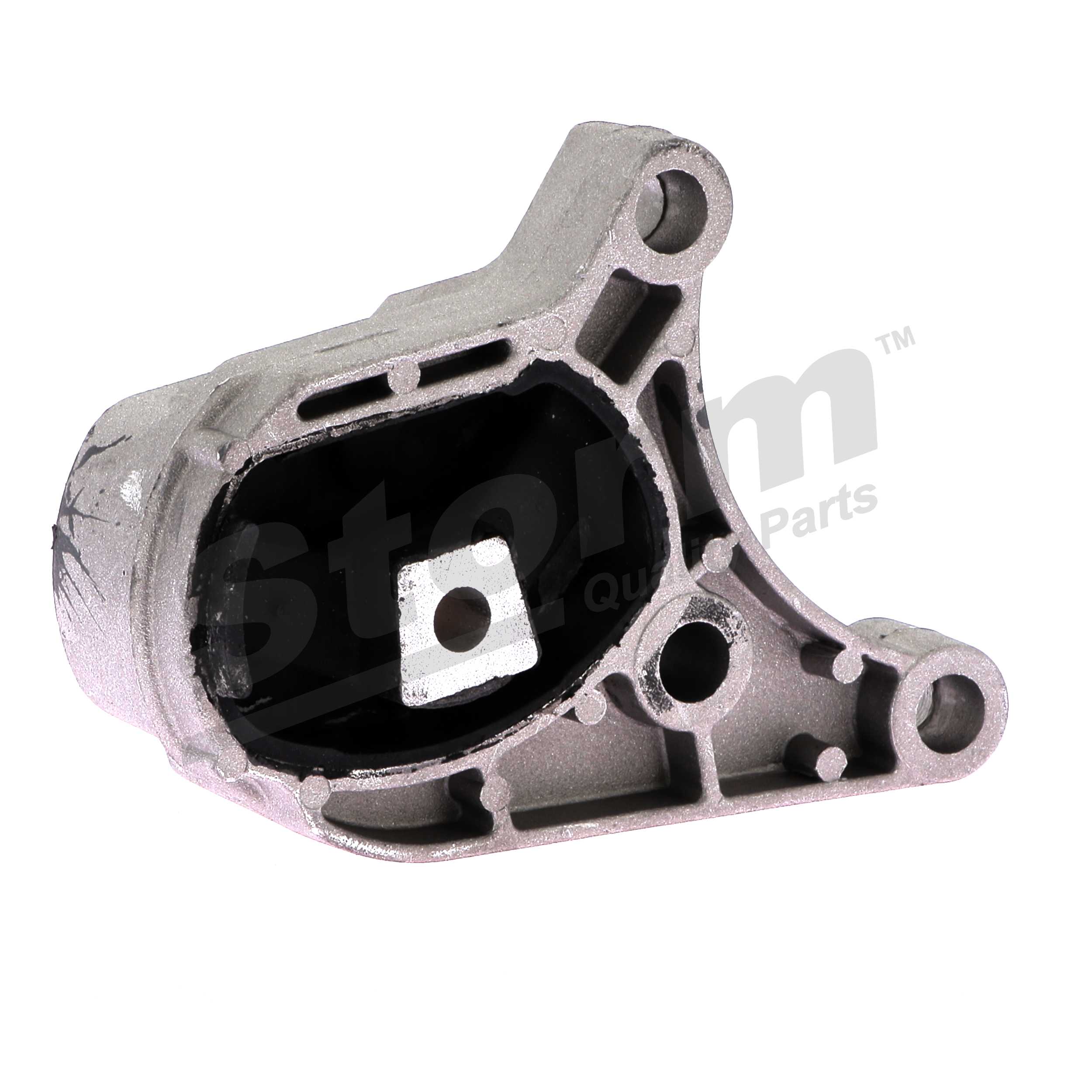 Suporte do motor Storm F2598