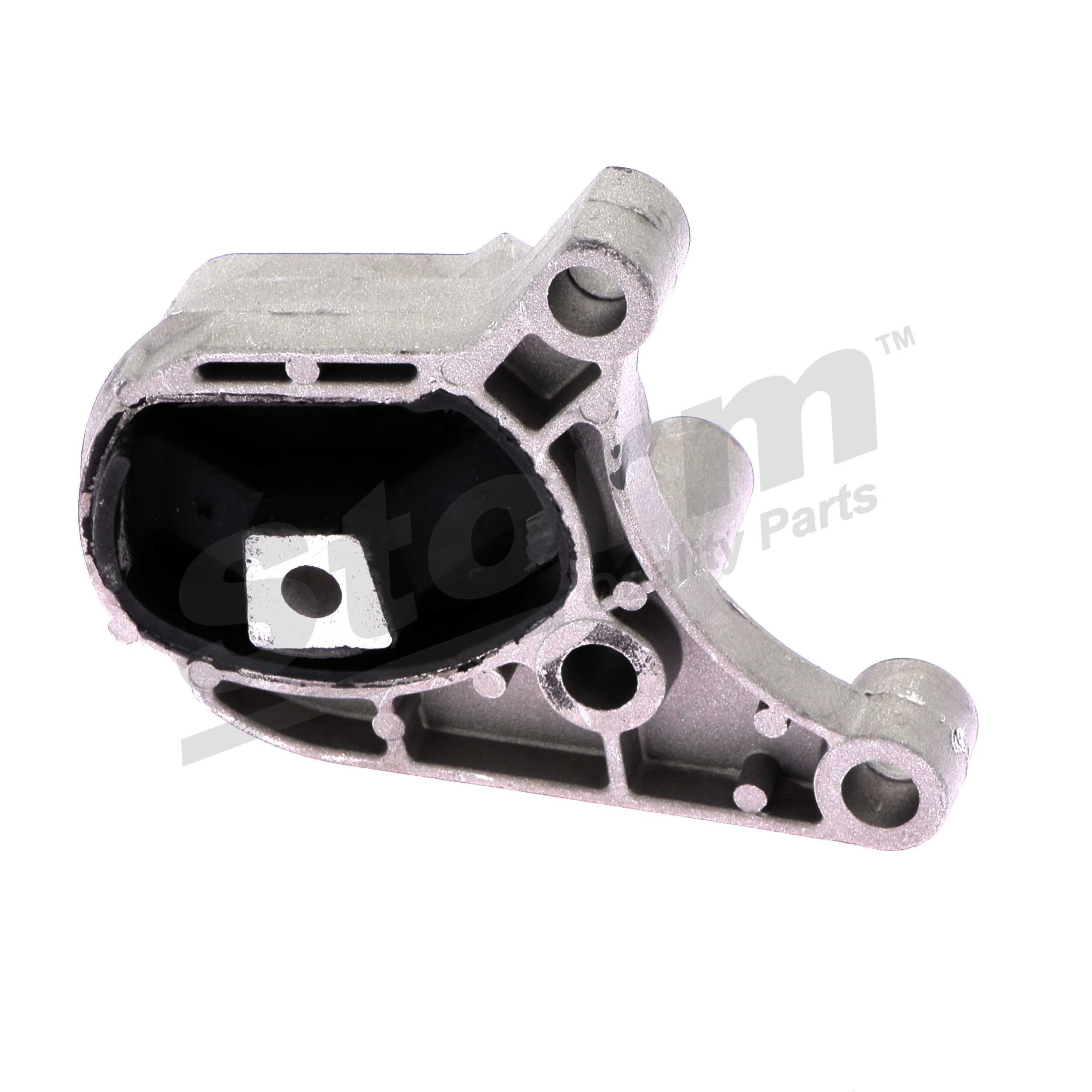Suporte do motor Storm F2598