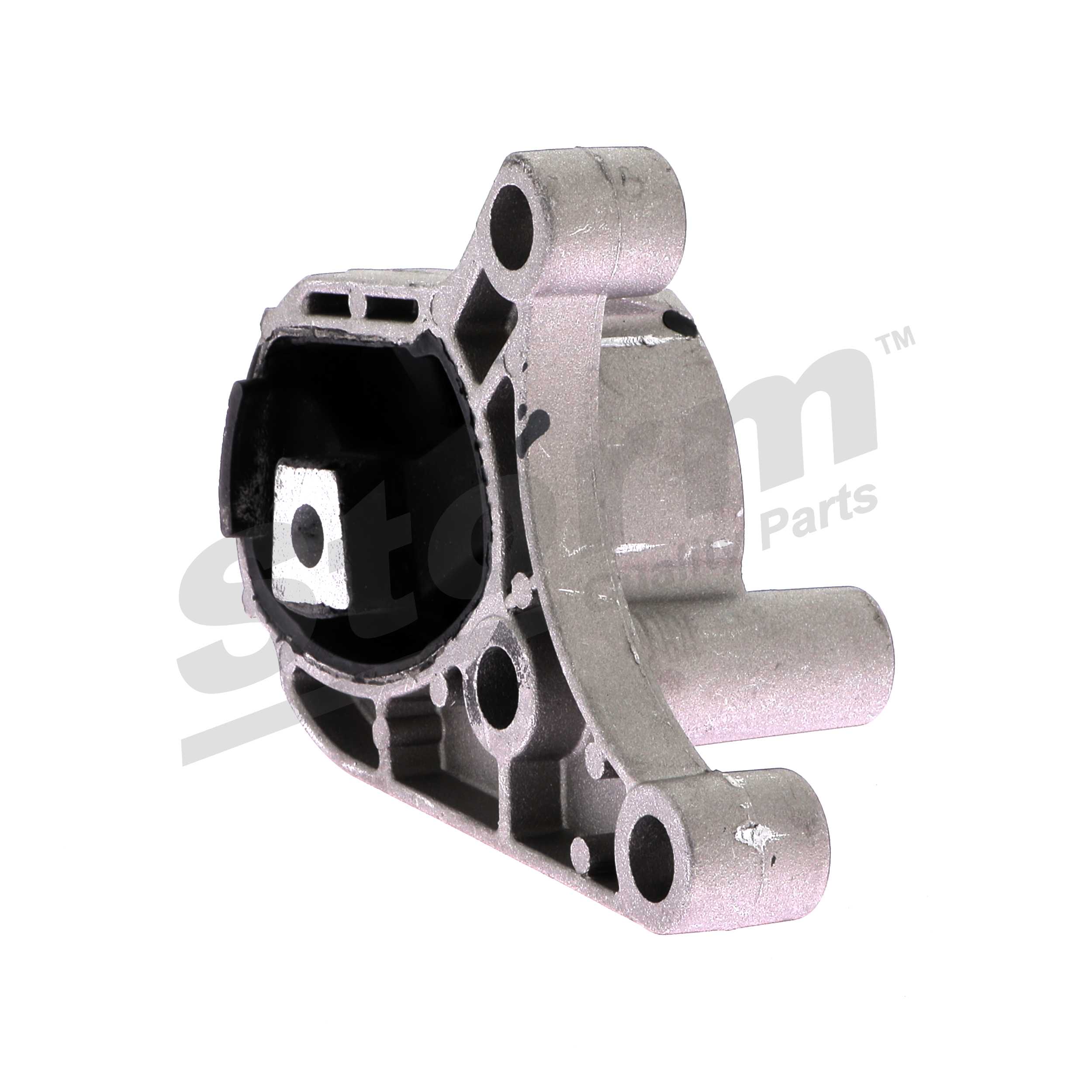 Suporte do motor Storm F2598