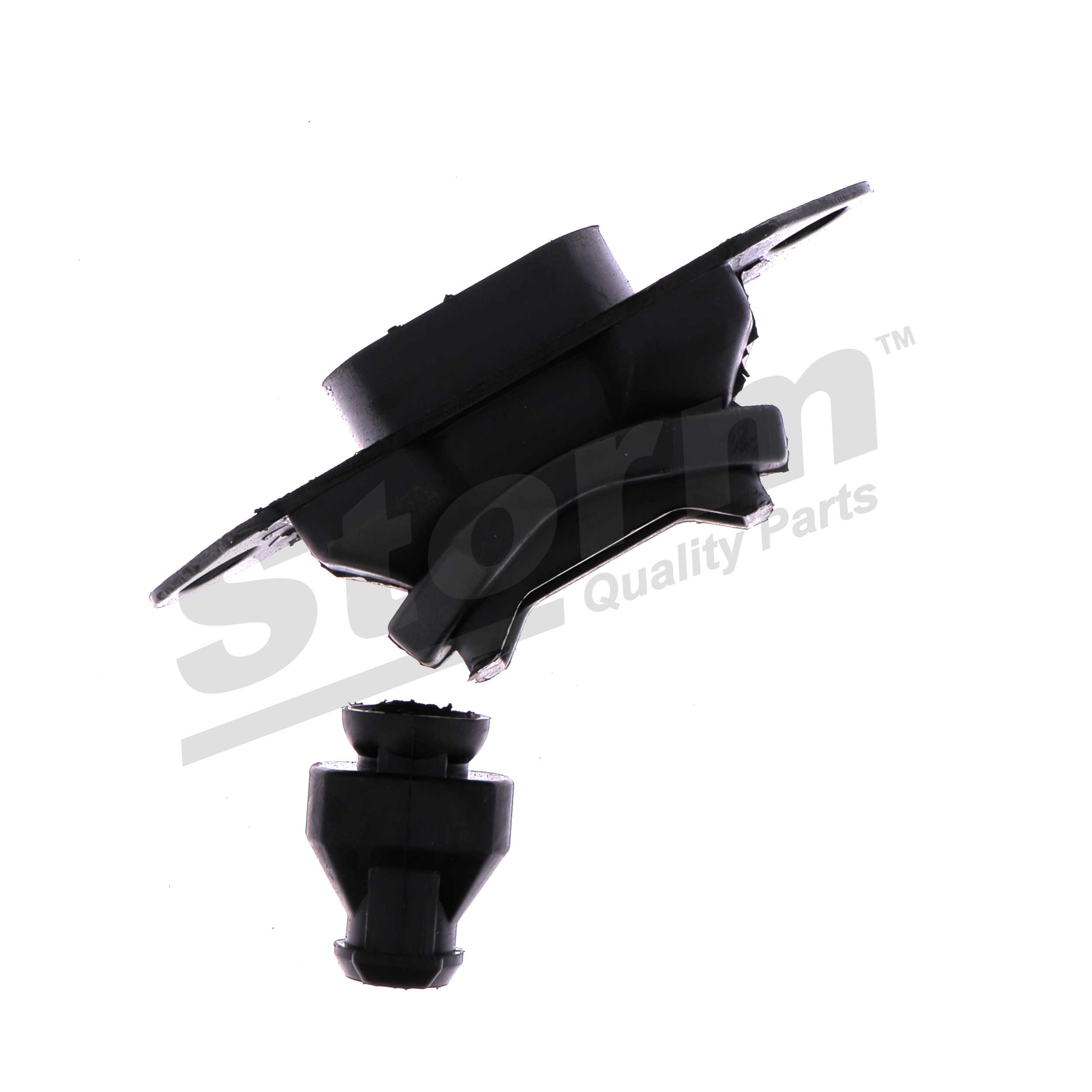 Support moteur (Silent bloc moteur) Storm ref. F4436