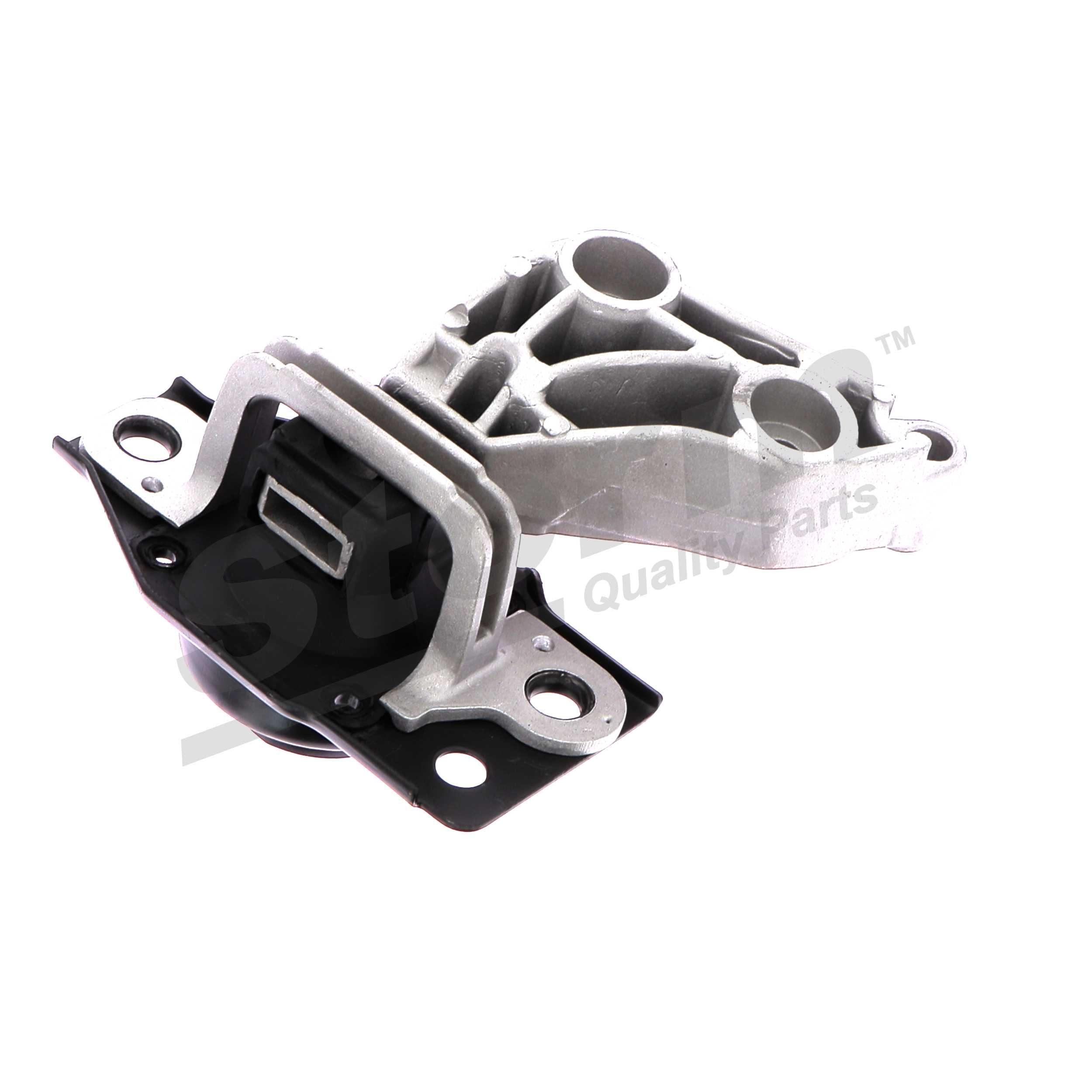 Support moteur (Silent bloc moteur) Storm F5311