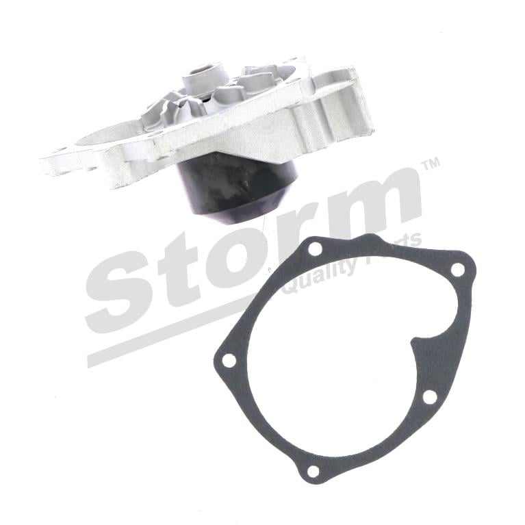 Pompe à eau Storm ref. RST219