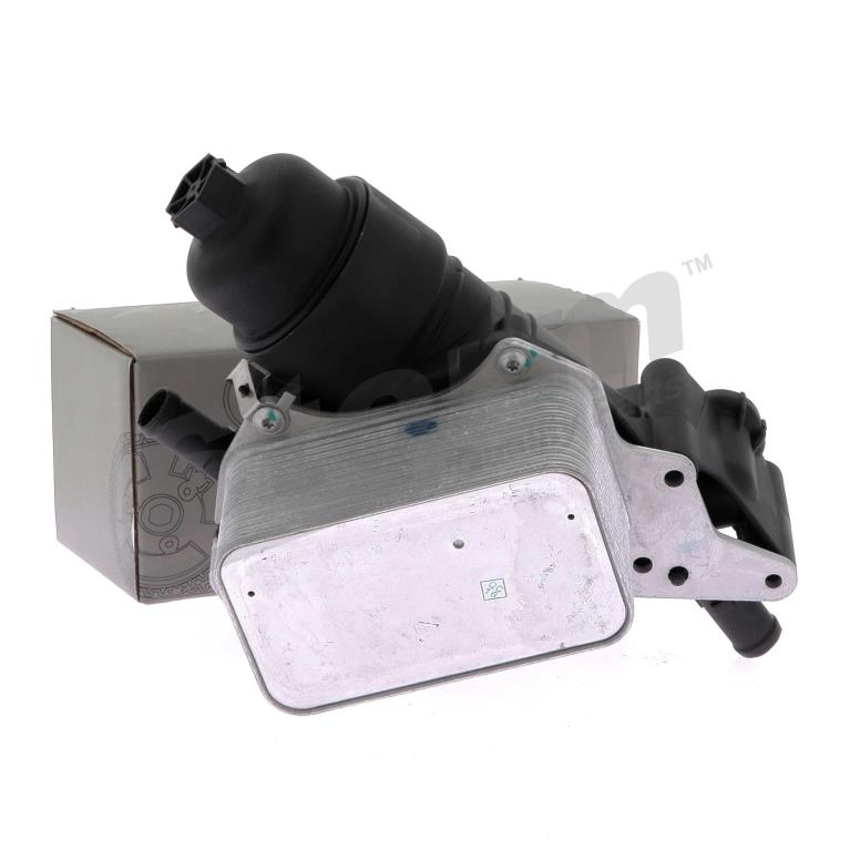 Caja, filtro de aceite Storm ref. STO800002