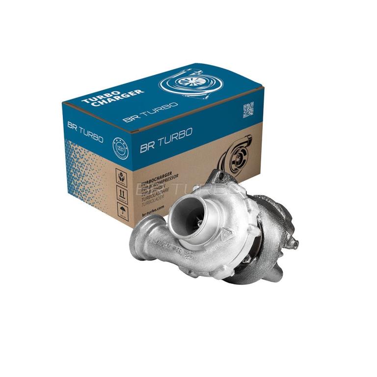 Turbocompresseur (Turbo) BR Turbo 53169887023RS