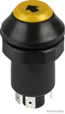 Butée hydraulique 2