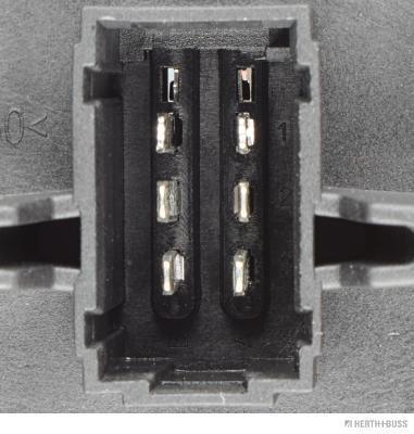 Butée hydraulique Coupé