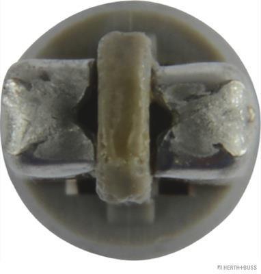 Ampoule d'éclairage des instruments HERTH+BUSS ELPARTS 10 - ref. 89901230