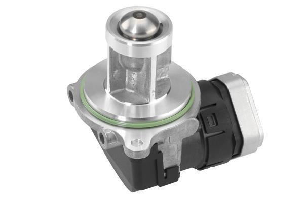 Vanne EGR WAHLER 710073D