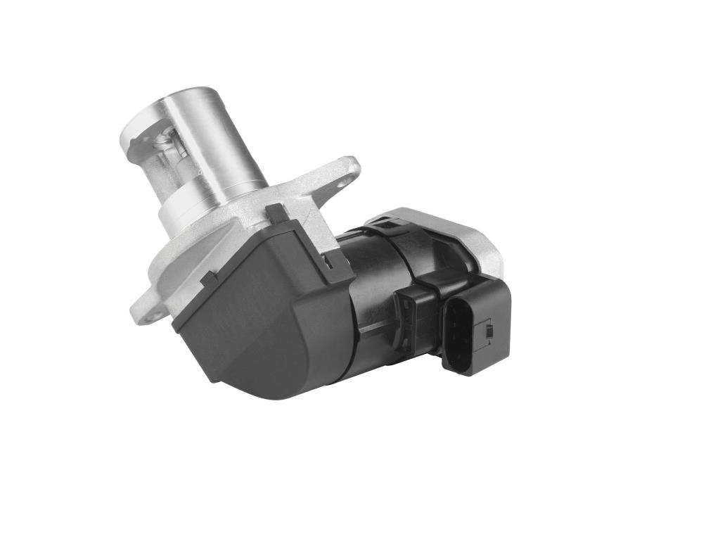Vanne EGR WAHLER 7353D